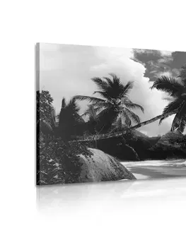 Černobílé obrazy Obraz nádherná pláž na ostrově Seychely v černobílém provedení