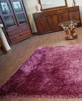 Koberce a koberečky Dywany Lusczow Kusový koberec LOVE SHAGGY fialový, velikost 200x290