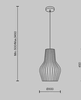 Designová závěsná svítidla MAYTONI Závěsné svítidlo Roots E27x1 40W MOD191PL-01W1