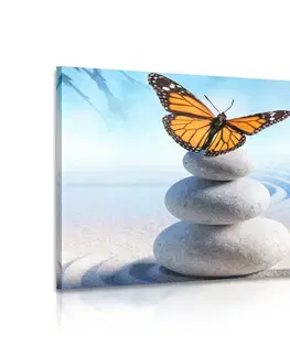 Obrazy Feng Shui Obraz rovnováha kamenů a motýl