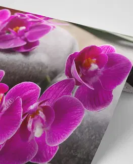 Samolepící tapety Samolepící fototapeta nádherná orchidej a Zen kameny