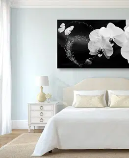 Černobílé obrazy Obraz černobílá orchidej a motýl
