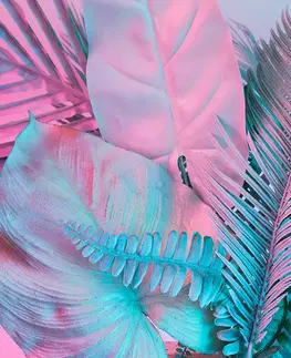 Samolepící tapety Samolepící tapeta palmové listy v neobyčejných barvách