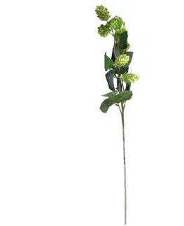 Květiny Umělá větvička chmelu, 25 x 66 x 10 cm