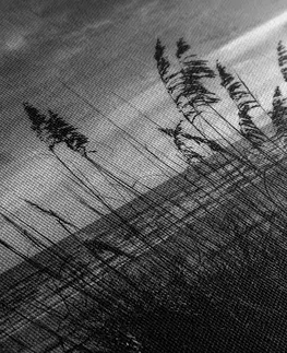 Černobílé obrazy Obraz západ slunce na pláži v černobílém provedení