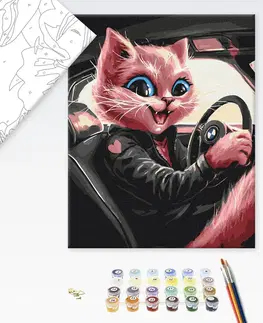 Zvířata Malování podle čísel kočka rebelka