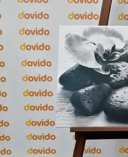 Černobílé obrazy Obraz krásná souhra kamenů a orchideje v černobílém provedení