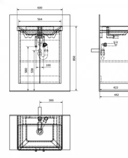 Koupelnový nábytek SAPHO THEIA umyvadlová skříňka 56,4x70x44,2cm s umyvadlem THALIE, 2xdvířka, bílá (TH062) TH062-3030-01