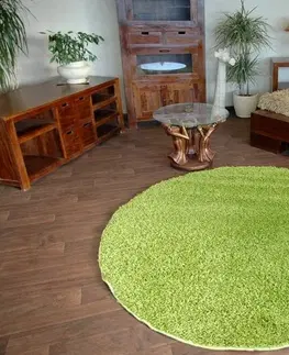 Koberce a koberečky Dywany Lusczow Kulatý koberec SHAGGY Hiza 5cm zelený, velikost kruh 120