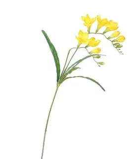 Květiny Umělá květina Frézie žlutá, 57 cm