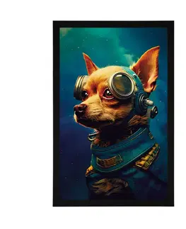 Vládci živočišné říše Plakát modro-zlatý pes