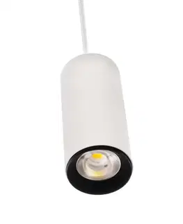 LED lustry a závěsná svítidla Light Impressions Deko-Light závěsné svítidlo Lucea 10 bílá 220-240V AC/50-60Hz 10,00 W 3000/4000 K 1000 lm bílá RAL 9016 342177