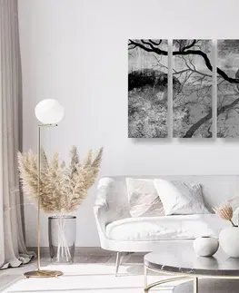 Černobílé obrazy 5-dílný obraz surrealistické stromy v černobílém provedení