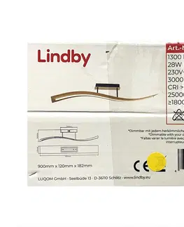 Svítidla Lindby Lindby - LED Stmívatelný přisazený lustr LARISA LED/28W/230V 