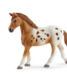 Dřevěné hračky Schleich 42433 Appalosští koně a tréninkové příslušenství, 7 ks