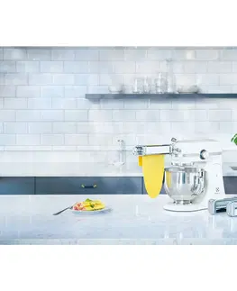 Kuchyňské doplňky Electrolux ACCESSORYPR Nástavec (vál) na ploché těstoviny ke kuchyňským robotům řady Assistent ACCESSORYPR