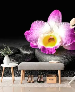 Samolepící tapety Samolepící fototapeta orchidej na Zen kamenech
