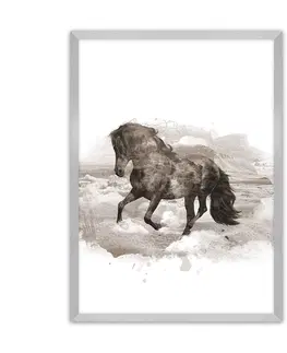 Obrazy a plakáty Plakát Horse