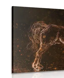Abstraktní obrazy Obraz abstraktní kůň