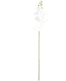 Květiny Umělá Orchidej čistě bílá, 86 cm