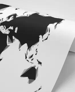 Samolepící tapety Samolepící tapeta abstraktní mapa světa v černobílém provedení