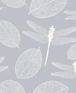 Tapety zvířata Tapeta létající vážky