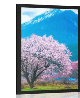 Příroda Plakát kouzelný japonský strom
