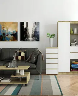 Komody Ak furniture Komoda CL5 se zásuvkami 92 x 40 cm hnědá