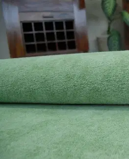 Koberce a koberečky Dywany Lusczow Kusový koberec SERENADE Hagy zelený, velikost 300x450