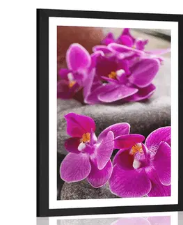 Feng Shui Plakát s paspartou nádherná orchidej a Zen kameny