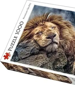 Hračky puzzle TREFL - Puzzle Spící lev