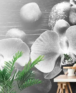 Černobílé tapety Fototapeta černobílá orchidej a kameny