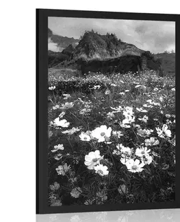 Černobílé Plakát louka kvetoucích květin v černobílém provedení