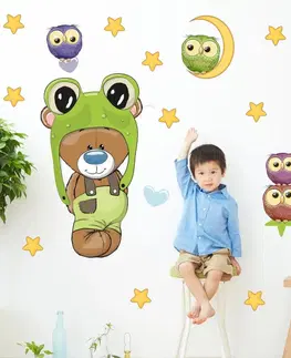 Samolepky na zeď Dětské samolepky na zeď - Oblíbený medvídek a sovičky v zeleném