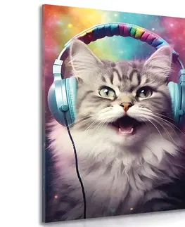 Obrazy párty zvířata se sluchátky Obraz kočka se sluchátky