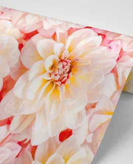 Samolepící tapety Samolepící fototapeta pastelové květiny dálie