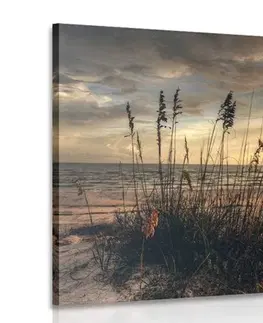 Obrazy přírody a krajiny Obraz západ slunce na pláži