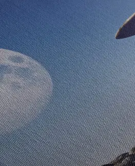 Obrazy Feng Shui Obraz skládané kameny v měsíčním světle