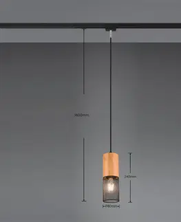 Svítidla pro 2fázový kolejnicový systém Trio Lighting Závěsné světlo Tosh DUOline s dřevěným detailem