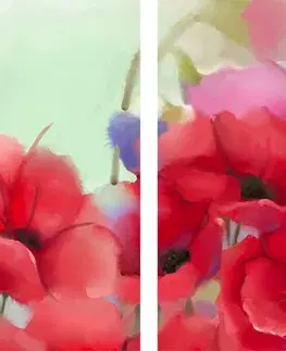 Obrazy květů 5-dílný obraz nádherné kreslené máky