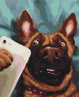 Zvířata Malování podle čísel pes s mobilem