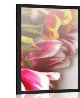 Květiny Plakát kytice barevných tulipánů