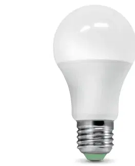 LED osvětlení Brilagi LED Žárovka se senzorem soumraku ECOLINE A60 E27/9W/230V 3000K -  Brilagi 