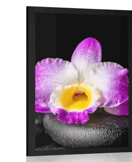 Feng Shui Plakát s paspartou fialová orchidej na Zen kamenech