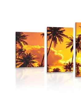 Obrazy přírody a krajiny 5-dílný obraz kokosové palmy na pláži