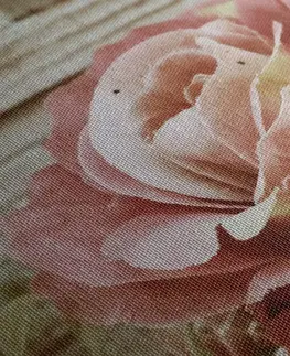 Vintage a retro obrazy Obraz růžová vintage růže