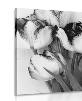 Černobílé obrazy Obraz jarní tulipány v černobílém provedení