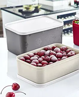 Skladování potravin Box na potraviny