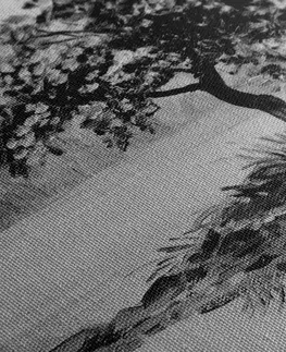 Černobílé obrazy Obraz orientální třešeň v černobílém provedení