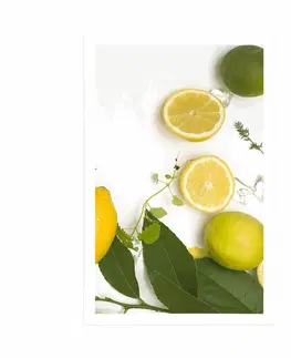 S kuchyňským motivem Plakát mix citrusových plodů